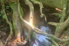 small20250401_095930